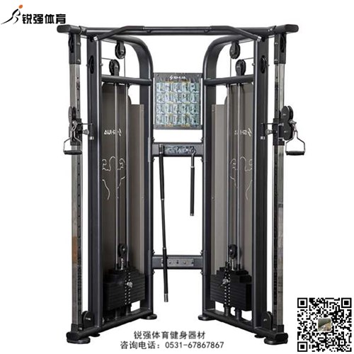 大飞鸟训练器 大飞鸟训练器